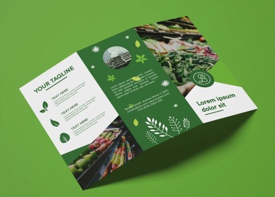 Thủ thuật thiết kế brochure độc đáo và cuốn hút khách hàng